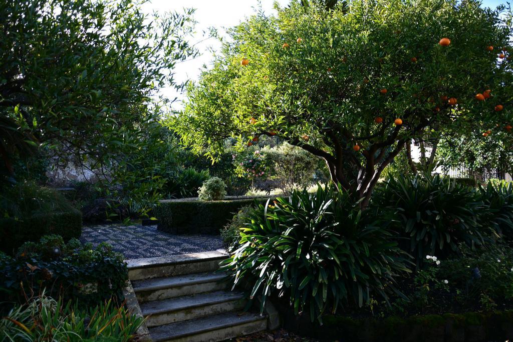 B&B Villa Maria Giarre Camera foto